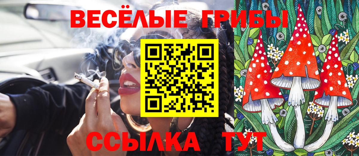 Озёрск  Галлюциногенные грибы мицелий  купить закладку  Вход с VPN 
